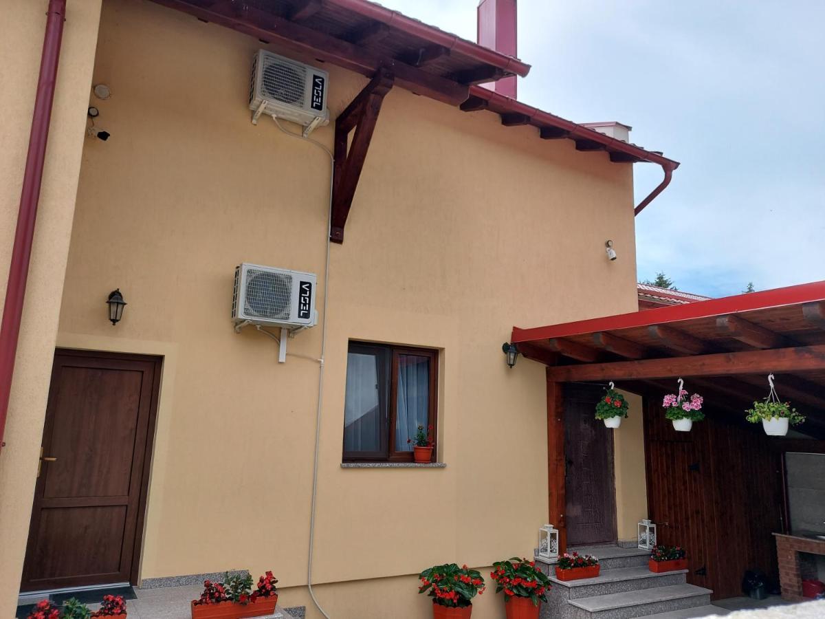 Hotel Casa Montis Borşa Habitación foto